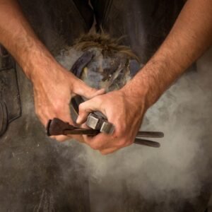 BOT EDGE KNIFE